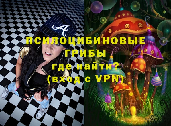 ПСИЛОЦИБИНОВЫЕ ГРИБЫ Аркадак