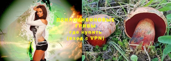 бошки Армянск