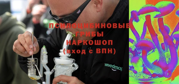 ПСИЛОЦИБИНОВЫЕ ГРИБЫ Аркадак