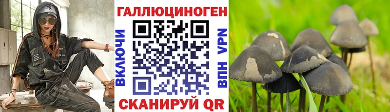 Галлюциногенные грибы Cubensis  Горняк 